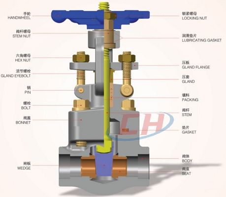 不銹鋼內(nèi)螺紋閘閥三維圖